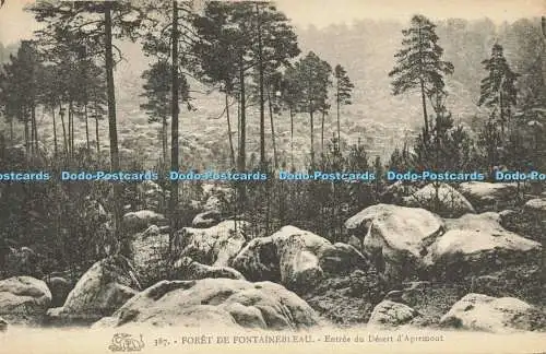 R588776 387 Foret de Fontainebleau Entree du Desert dApremont