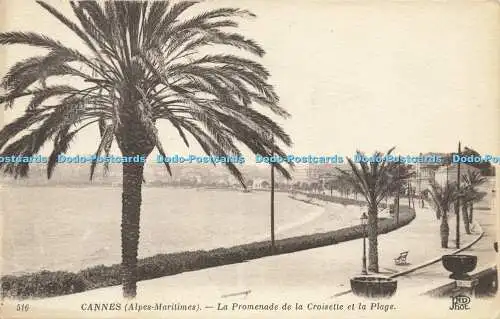 R588789 516 Cannes Alpes Maritimes La Promenade de la Croisette et la Plage ND P