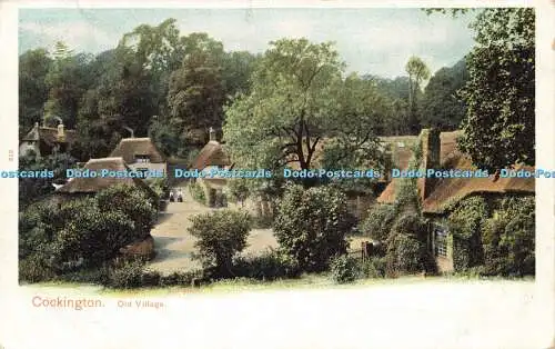 R588823 Cockington Old Village Autochrom Bildpapier Marke Pfau 1903