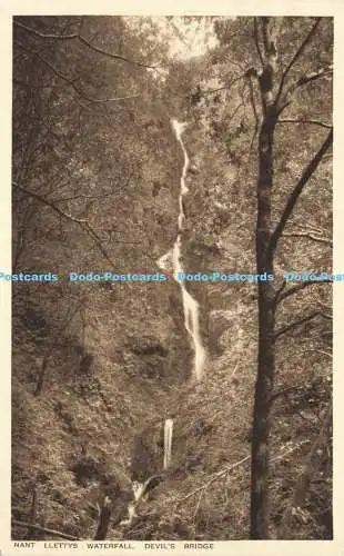 R590752 Devil Bridge Nant Llettys Waterfall F P Lightfoot R A P The Seal of Arti