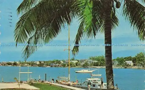 R594812 The Bahama Islands Bahamian News Dexter Press 1983