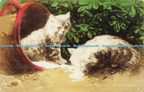 R588929 Katzen Kätzchen 1166 6 Mischief Makers 1908 A L Serie Aristophot