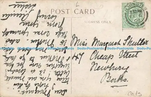 R588929 Katzen Kätzchen 1166 6 Mischief Makers 1908 A L Serie Aristophot