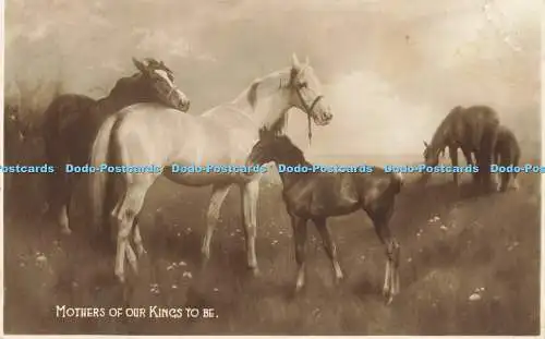 R596876 Mothers of our Kings to be Horses No 846 W and K RP E Douglas