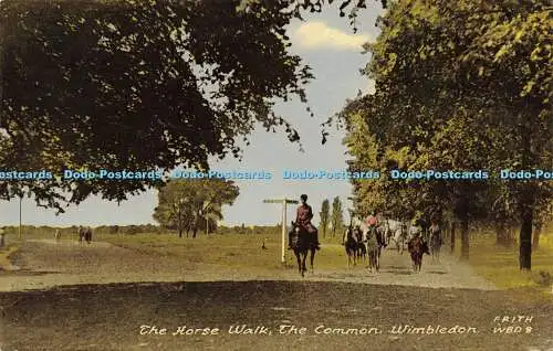 R594896 Wimbledon The Common The Horse Walk F Frith 1965