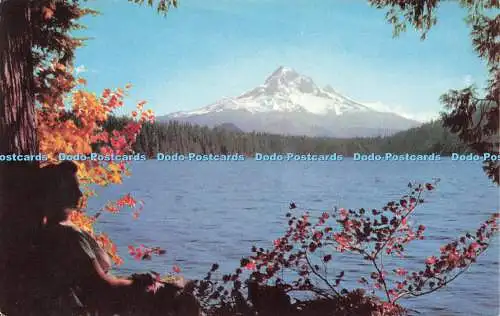 R589025 Union Oil Companys Mt Hood höchster Punkt in Oregon Tour West in diesem Jahr w