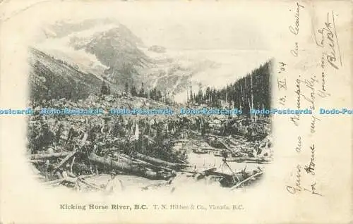 R589061 Kicking Horse River B C T N Hibben 1904