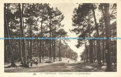 R595001 Arcachon Cote d Argent La Grande Dune C A P