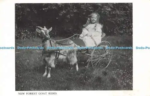 R589184 New Forest Goat Rides Mike Walfords Book Pollards People and Ponys Shor