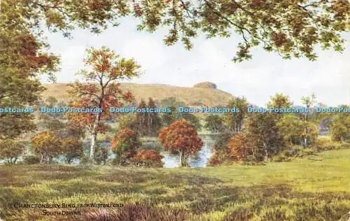 R595119 Chanctonbury Ring von Wiston Pond South Downs J Lachs Aquarell 195