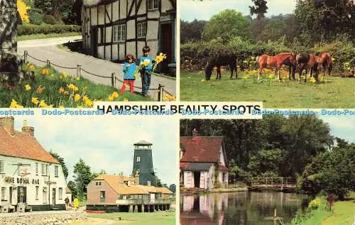 R592983 Hampshire Beauty Spots Colourmaster International Precision 1977 Multi V