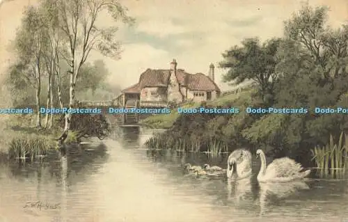 R593012 Schwäne Wassermühle Landschaft Meissner und Buch Serie 1189 F W Hayes 1903