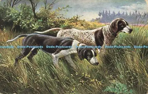 R595176 Jagd Zwei Hunde auf der Wiese Ernest Nister E P Dunton Serie 106 1912