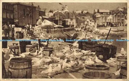 R595268 St Ives Gulls Photochrom 1945