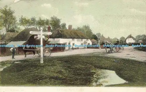 R595298 New Forest Cadnam F G O Stuart 1904