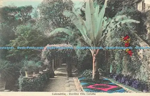 R589424 Cadenabbia Giardino Villa Carlotta 265 R E V Como