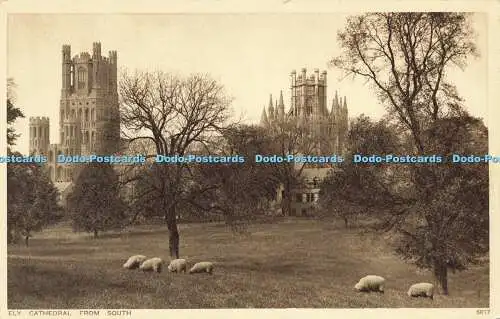 R589428 Ely Cathedral from South 5837 Photochrom