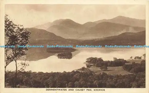 R589489 Derwentwater and Causey Pike Keswick Photogravure Series Abraham