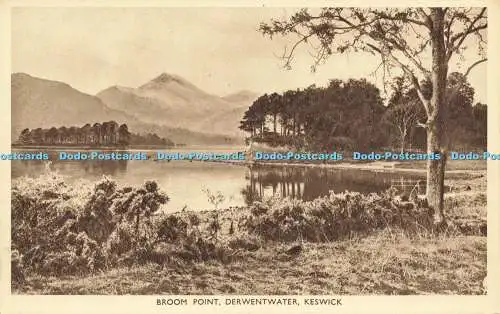 R589491 Broom Point Derwentwater Keswick Photogravure Series Abraham