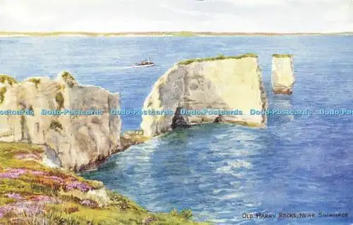 R595480 Old Harry Rocks near Swanage J Salmon Watercolour