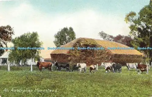 R593369 An Australian Homestead Wildt and Kray Series No 1150