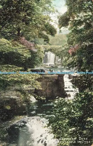 R591489 Jesmond Dene Newcastle on Tyne Brash Serie A Denholm Brash 1905