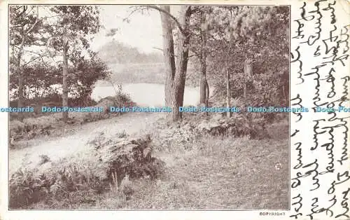 R597571 Unbekannter Ort Natur 1903