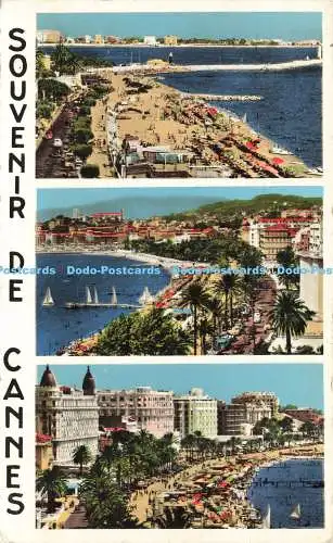 R589749 Souvenir de Cannes 8132 S E P T Multi View