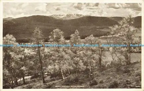 R593628 Royal Deeside Silver Birches J B White Best of All Series