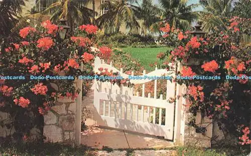 R593658 Nassau auf den Bahamas Lofthouse Agency Plastichrome