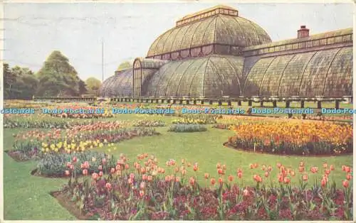 R595845 Royal Botanic Gardens Kew Palm House Decimus Burton No 111 1935