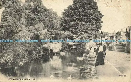 R595926 Bonchurch Pond I W J W und S 66 1904