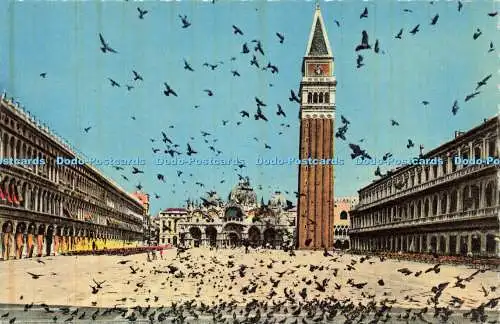 R5955 Venezia St Mark Square B V Cesare Capello