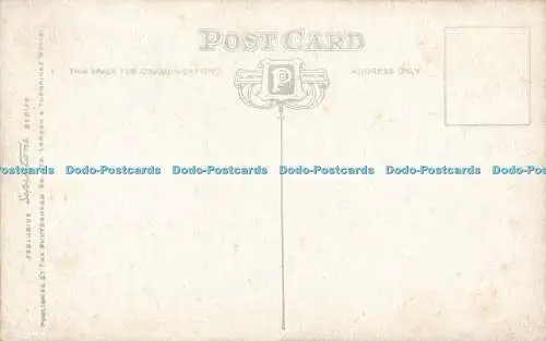 R593857 Myrtleberry Photochrom Sepiatone Serie