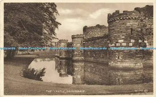 R598005 Beaumaris The Castle Valentine Sepiatype