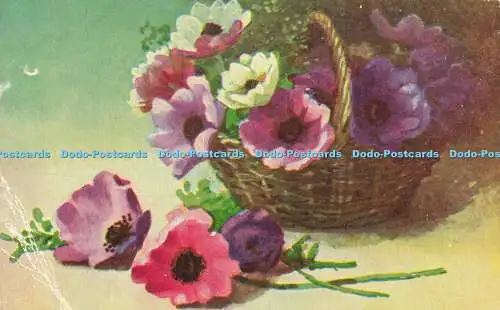 R591982 Blumen Davidson Bros Floral Postkarten Blumenkorb Serie 6184 190