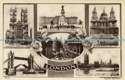 R592019 London Beagles RP Multi View