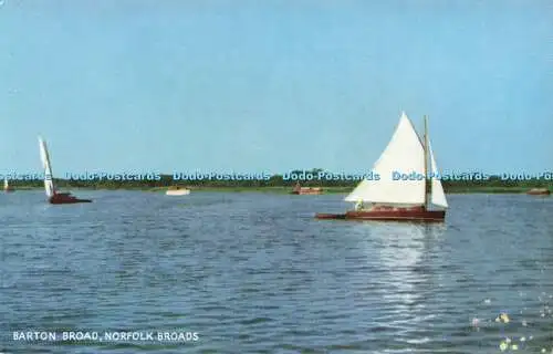 R592023 Barton Broad Norfolk Broads Salmon