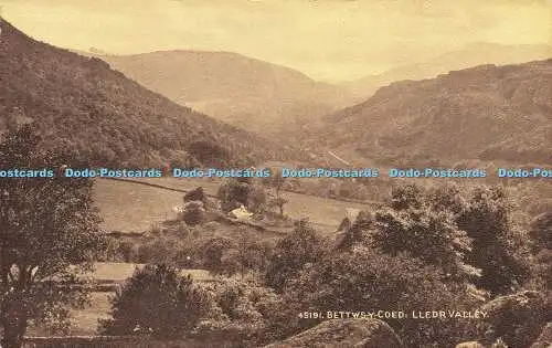 R598090 Betty Coed Leder Valley Photochrom Sepiatone Series 1961