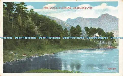 R592064 Lakes Bleatarn Westmoreland Star Serie G D und D