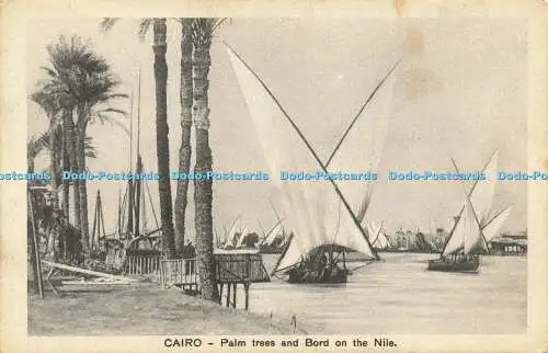 R596121 Kairo Palmen und Bord am Nil Serie 630 Cairo Postcard Trust