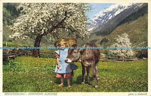 R598142 Bergfruhling Printemps Alpestre J Gaberell 1938
