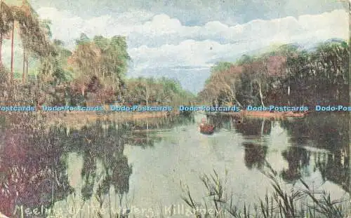 R594229 Killarney Meeting by the Waters Irish Pictorial Card 1906