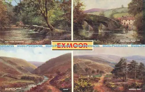 R596348 Exmoor A2438 Kunstfarbe 1242V Stil Valentinstag Mehrfachansicht