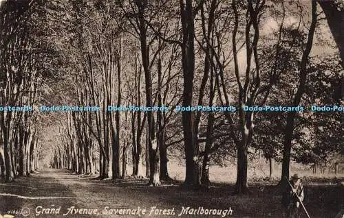 R598358 Marlborough Savernake Forest Grand Avenue Valentines Serie