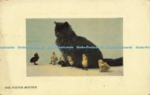 R596430 Pflegemutter Katze Valentinstag Serie 1908