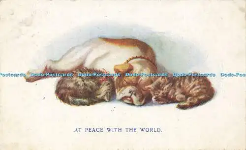 R596439 At Peace with World Kittens and Dog 1924