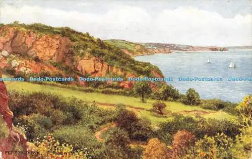 R594357 Torquay Petitor Down J Salmon 1951