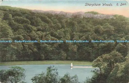 R594372 Sharpham Woods R Dart Friths Serie 1904