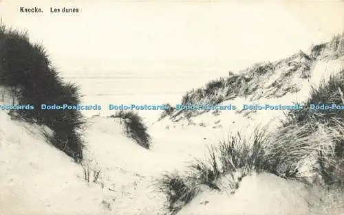 R598543 Knocke Les Dunes Postkarte